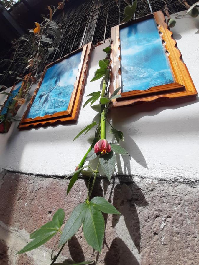 La Casa De Laura - Plaza Hotel Cuzco Kültér fotó